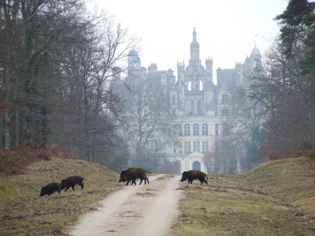 La Cour Du Moulin Hotel Mer Zewnętrze zdjęcie